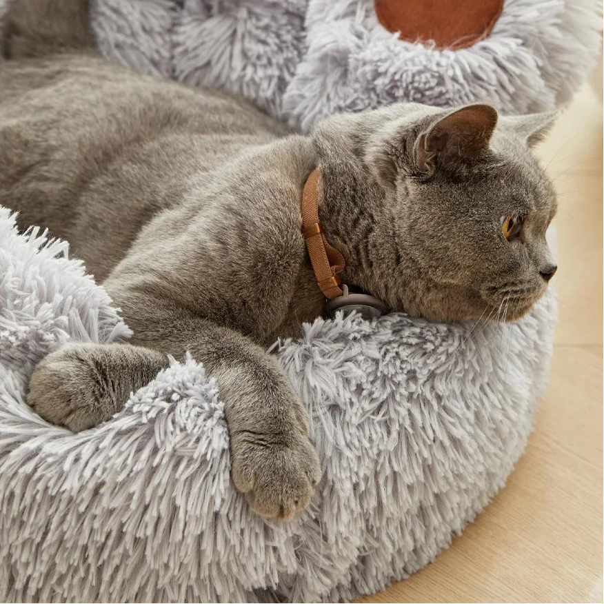 PawTreasure™ Cat Bed