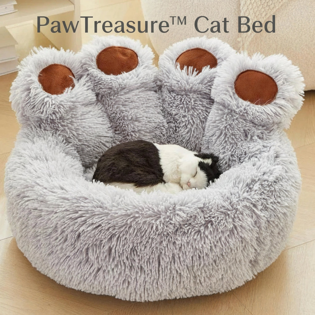 PawTreasure™ Cat Bed