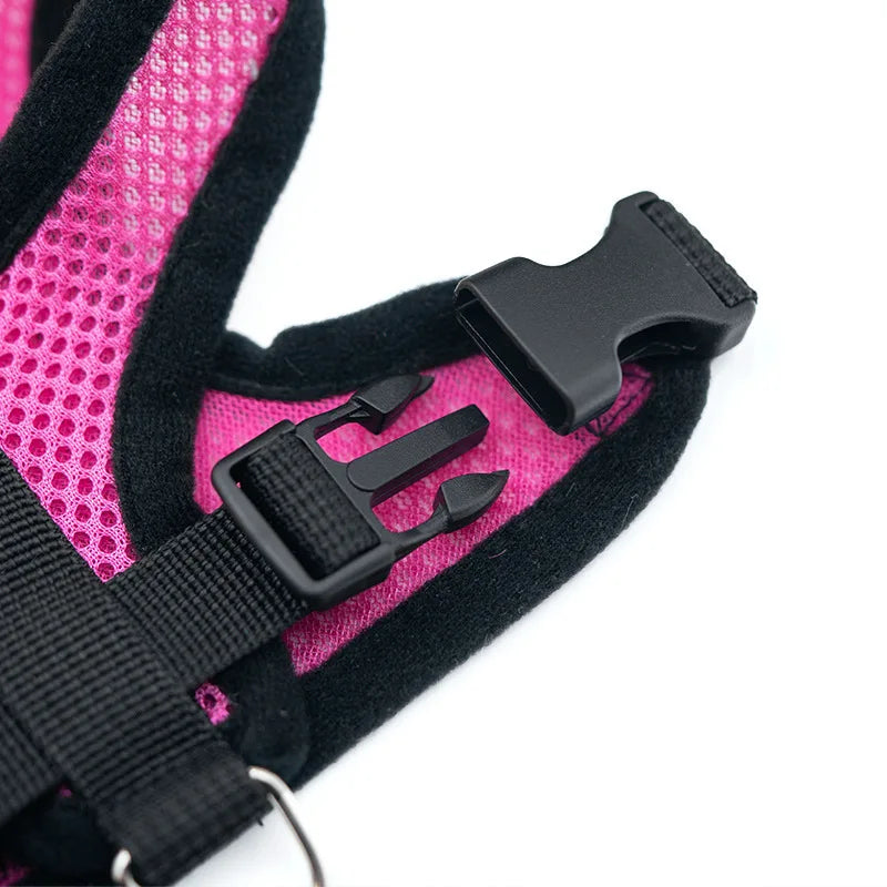 Hot summer small dog pet chest and back breathable dog chest and back suit cat outdoor traction rope child collar