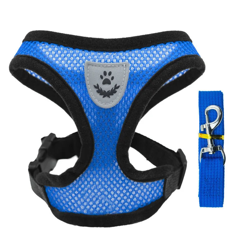 Hot summer small dog pet chest and back breathable dog chest and back suit cat outdoor traction rope child collar